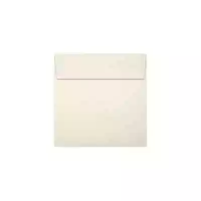 LUX 6 X 6 Square Envelopes 50/Pack Natural (8525-03-50) • $18.29
