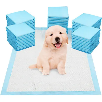 £16.95 • Buy Dog Puppy Extra Large Training Pads Pad Wee Wee Floor Toilet Mats 56 X 56cm 200