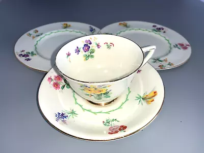 Royal Doulton V1566 WILD FLOWERS Tea Cup Saucer TRIO With Extra Plate 1901-1922 • £2.99