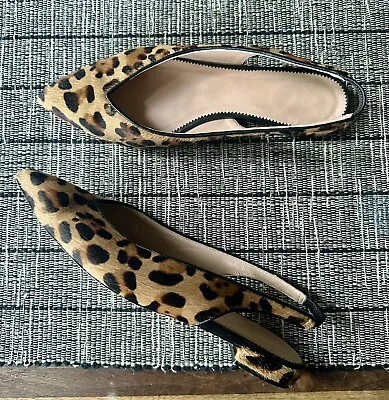 ($178) J Crew Pointed Toe Slingback Flats Shoes Size 8.5 In Leopard Calf Hair • $46