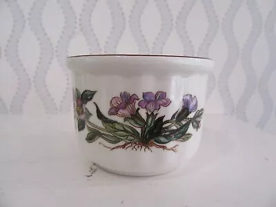 Villeroy & Boch Pulmonaria Ramekin • $9.99