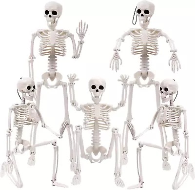 5Pcs Halloween Skeleton Decoration 16” Full Body Posable Halloween Hanging Skel • $28.71