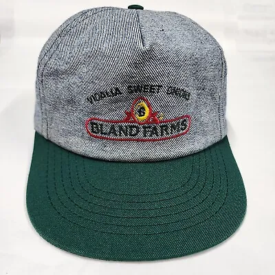 Vintage Denim Snapback Hat Vidalia Sweet Onions Bland Farms Farm Cap USA Made • $28