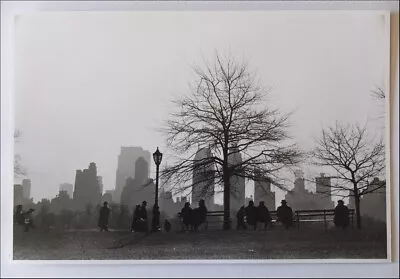 Ruth Orkin. 1955 Central Park Benches New York City. Offset Boards • £0.86