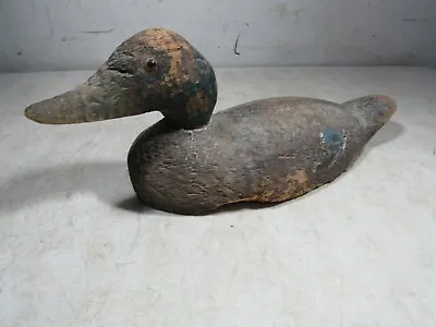 Vintage/Antique Victor Animal Trap Co Wooden Duck Decoy  • $75