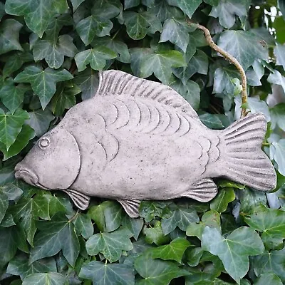 Mirror Carp Stone Hanging Plaque Angling Fishing Fish Gift Outdoor Garden Statue • £19.99