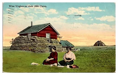 1917 Montana Homestead Scene Wise Virgins On Their 3000 Claim Postcard • $5