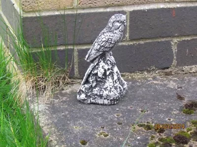 Budgerigar Parakeet (Concrete Garden Ornament) • £6