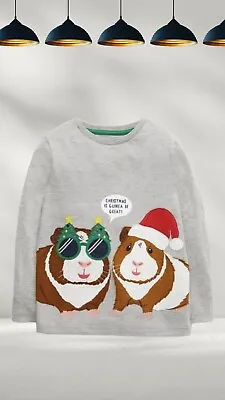 Ex Mini Boden Boys' Festive Animal Applique T-Shirt In Grey Genuia A Bit Defect • £9.99