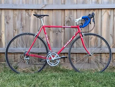 Giant Allegre Triple Butted Chromoly Lugged Frame Road Endurance Bike Retro • $460