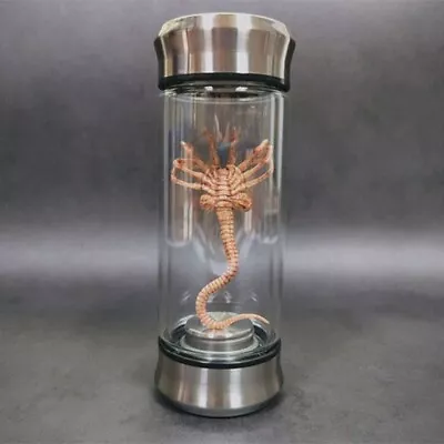 Alien Silver Jar Xenomorph Specimen Facehugger Glass Jar Movie Prop Replica • $69.99