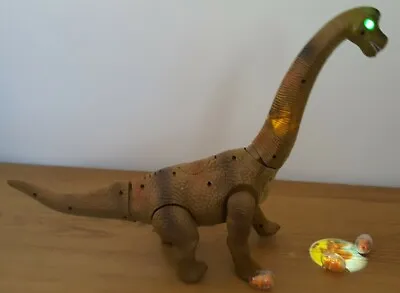 £12.99 • Buy Large Dinosaur Diplodocus Electric Walking Lays Egg Toy Sounds Girls Boys Toys