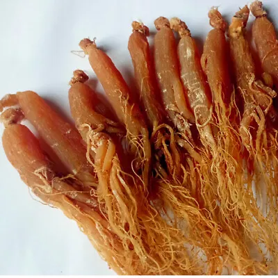 250g Red Panax Ginseng Root 6 Year Whole Root Ginseng Root With Hair ！ • $35.67