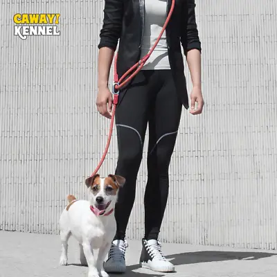 Hands Free Dog Lead Leash Adjustable Reflective Running Jogging Walking Training • £11.99