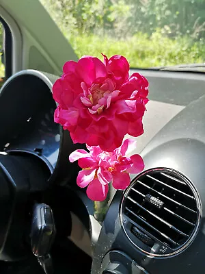 VOLKSWAGEN Bug New Beetle Interior Console Dashboard Flower PINK DAHLIA • $8.99