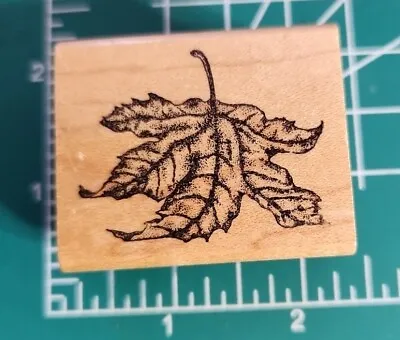 Vintage Rubber Monger Rubber Stamp- Very Detailed  Maple Leaf  EUC B20 • $4.99