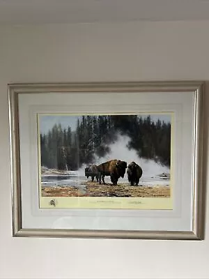 David Shepherd Limited Edition Signed Print “The Hot Springs Of Yellowstone” VGC • £79.95