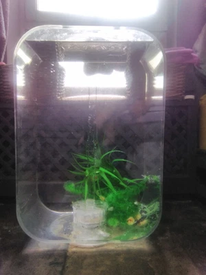 £50 • Buy Biorb Life Fish Tank Aquarium 45L