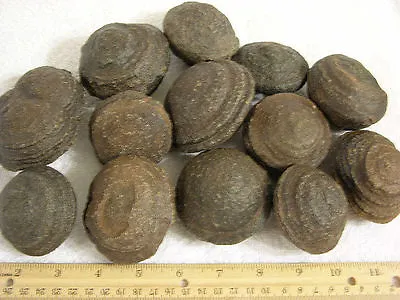 Moqui Marble RARE 4 Piece Lot  Hematite Concretion 1-2 Inch Utah Shaman Stone • $28.99