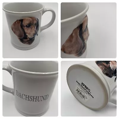 Dachshund Coffee Cup Wiener Dog Xpress Best Friends Original • $6.91