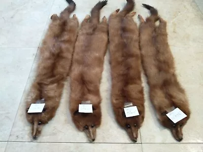 Beautiful Tanned Mink Brwn Fur/pelt 24 -22  Assort.sz. Mancave Cabin Lodge Craft • $14.99