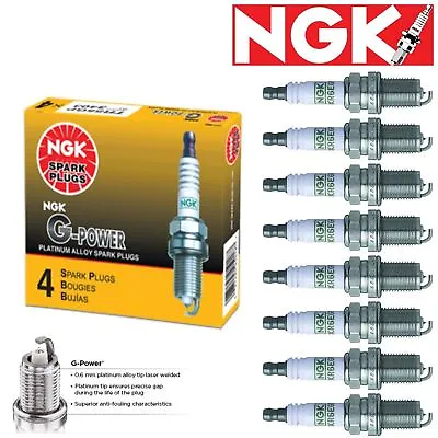 8 Pack NGK G-Power Spark Plugs 1980 Rover 3500 3.5L V8 Kit Set Tune Up • $26.99