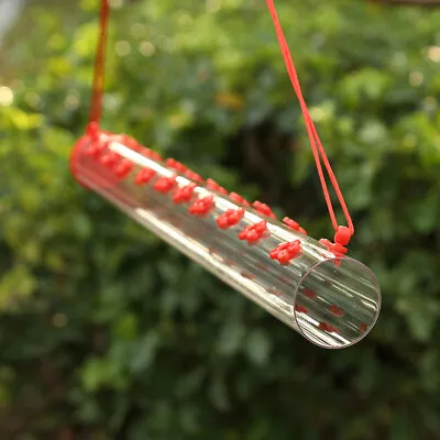 Outdoors Hanging Hummingbird Feeders Red Transparent Tube Garden Fast • $13.56