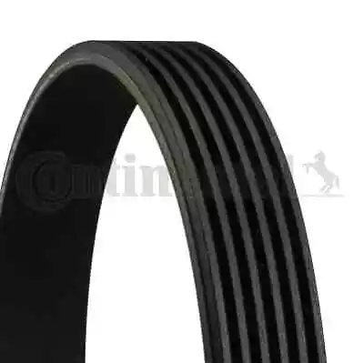 CONTINENTAL CTAM 6PK1710 V-Ribbed Belt For CITROËNFIATINFINITIOPELPEUGEOTRE • $43.43