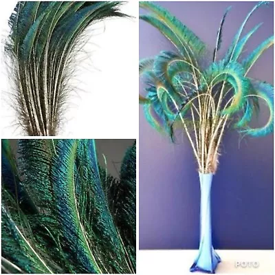 5pcs 30-35cm Natural Sword Peacock Feathers DIY Craft Millinery Vase Decor • $7.95