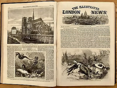 The Illustrated London News 1859 Vol 35 War Austria France Italy Great Eastern • £120
