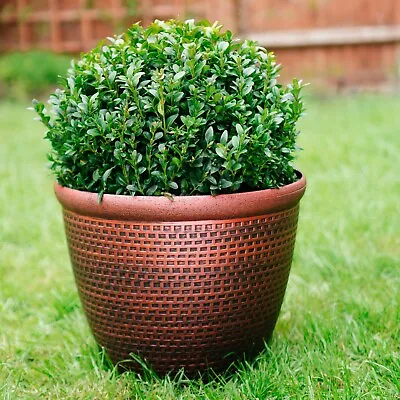 £34.99 • Buy Plastic Round Cromarty Garden Plant Pot Flower Pot Planter Patio Tub All Sizes