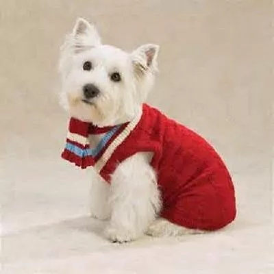 Zack & Zoey Dog Cable Knit Varsity Sweater W/ Scarf Acrylic RED • $14.99