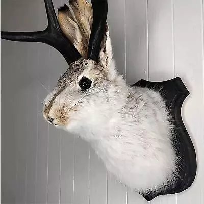 Jackalope Statue Wall Mount Antler Rabbit Head Hang Sculpture Animal Home Decor • $16.99