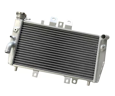 For Triumph Speed Triple 955i  2000 2001 02 0304 Coolant Radiator Heat Exchanger • $104.97