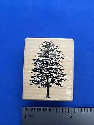 A6 Timeless Images Rubber Stamp Ponderosa Pine Tree NEW Vintage • $7.50