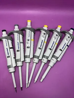 Set Of 6 Eppendorf Research Plus Pipettes Single Channel 0.1 - 1000ul • $958