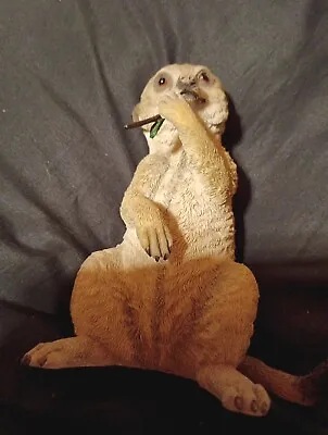 Country Artists Meerkat Meercat Baby Sitting Figurine/ Ornament 03103 (G) • £12