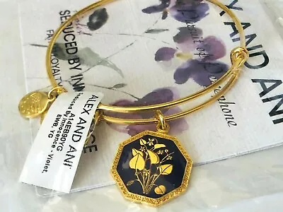 $53 • Buy NWT Authentic ALEX AND ANI Violet Seduced By Innocence Charm Bangle $38 ~ SEALED