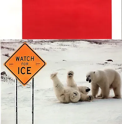 Funny Merry Christmas Polar Bear Bears Slip Slipping On Ice Greeting Card  • $4.99