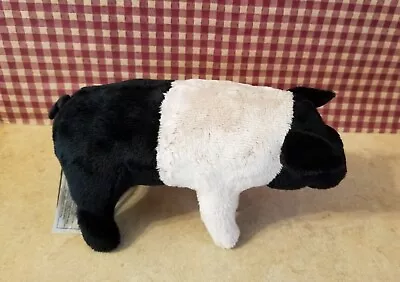 Ditz Designs By The Hen House Black & Tan Pig Plush Stuffed Animal • $9.99