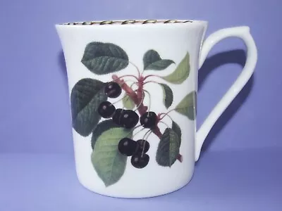 A Queens Fine Bone China Mug...Hookers Fruit • £4.50