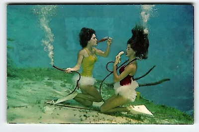 Weeki Wachee Mermaids Florida Postcard Ladies Underwater Eating & Drinking Soda • $16.50