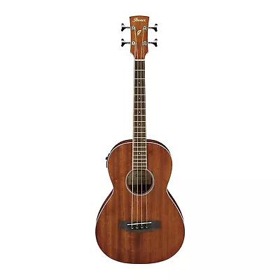 Ibanez PNB14E 4 String Acoustic Electric Bass Guitar Open Pore Natural • $279.99