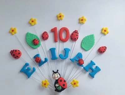 Ladybird Ladybug Flower Garden Personalised Birthday Cake Topper Handmade  • £11.50