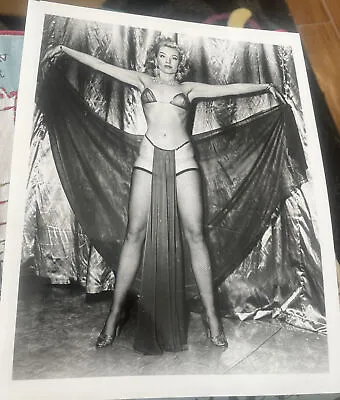 Lili St. Cyr  Irving Klaw Archives Movie Star News Vintage Photo 8x10 1970s #49 • $9.99