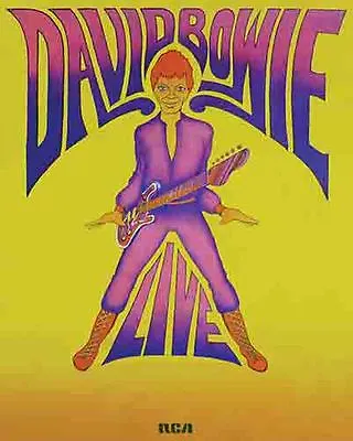 $19.99 • Buy David Bowie   1980's  Concert  Tour Album Promo Poster