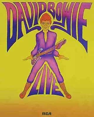 $19.99 • Buy David Bowie   1980's  Concert  Tour Album Promo Poster