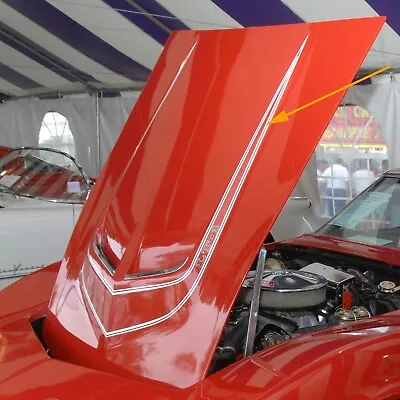 1970-1972 Corvette C3 Big Block Hood Stripe Kit Select Color • $159.99