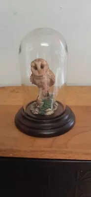 Country Artists Barn Owl Figurine Ornament -1989 Langford. With Glass Dome • £12