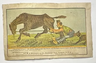 Victorian Trade Card 1880s Kendall's Spavin Cure Enosburgh Falls VT B60 • $13.95